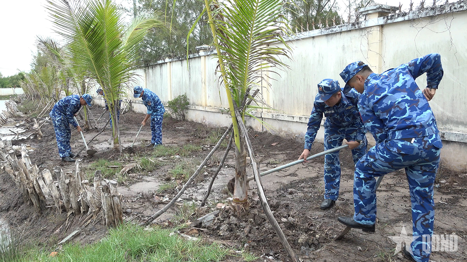 Hải đoàn 42 phát động trồng cây kỷ niệm 136 năm Ngày sinh Chủ tịch Hồ Chí Minh
